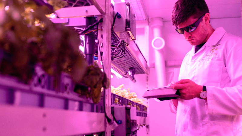 Mann im Labor mit Pflanzen